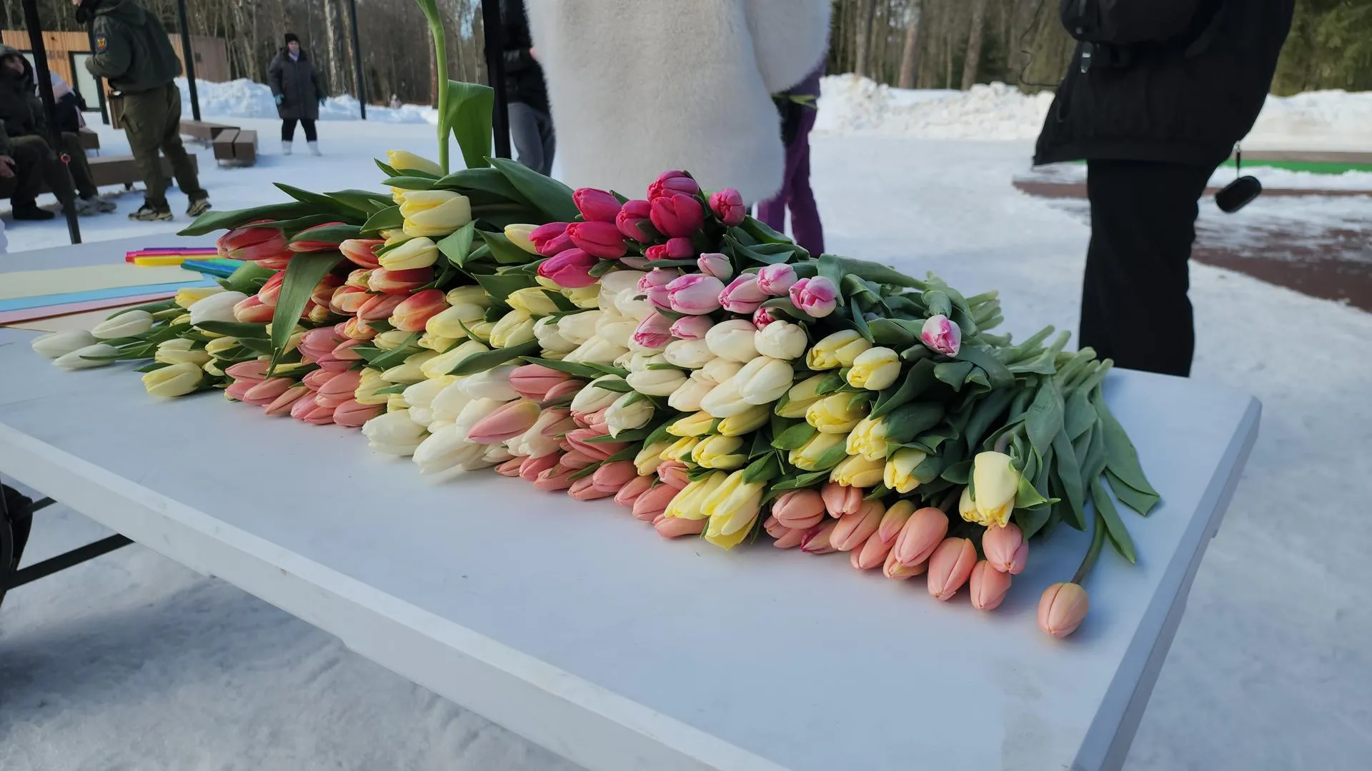 МедиаБанк Подмосковья/Екатерина морозова