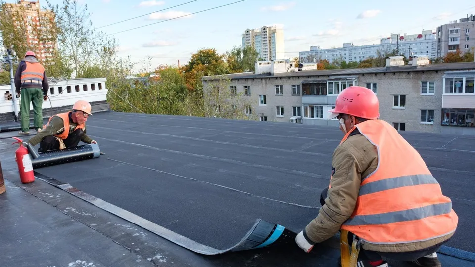 Фото: Александр Щербаков