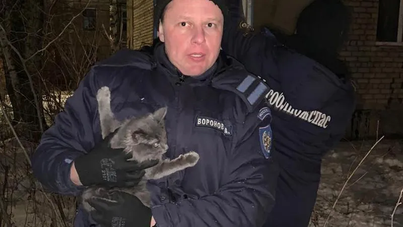 Застрявшую на дереве кошку спасли в Павловском Посаде