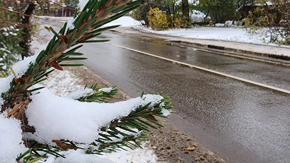 Фото: REGIONS/Наталия Надточая