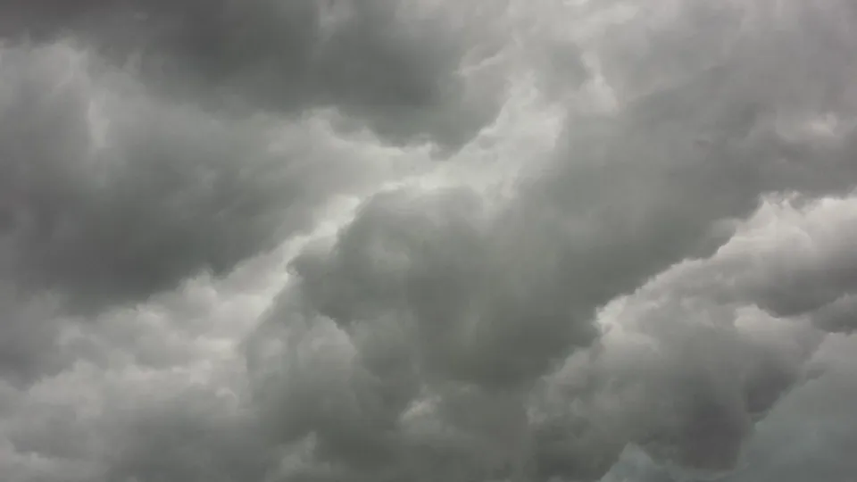 Фото: pxhere.com