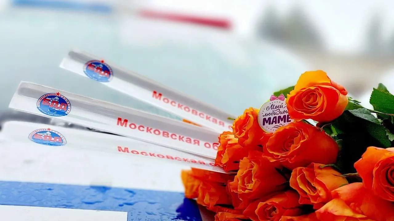 Фото: Госавтоинспекция Московской области