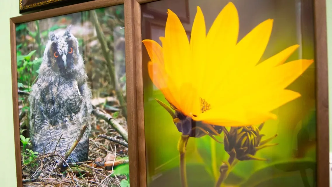 Фото: https://t.me/cb_zaraysk