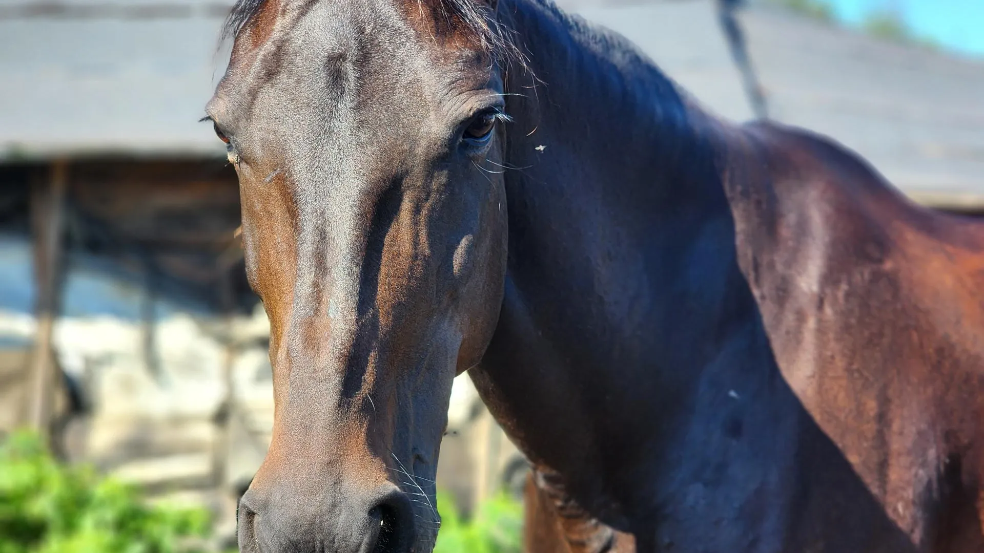 Фото: Полина Пахомова