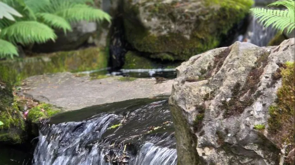 Фото: REGIONS/Ольга Ковалева