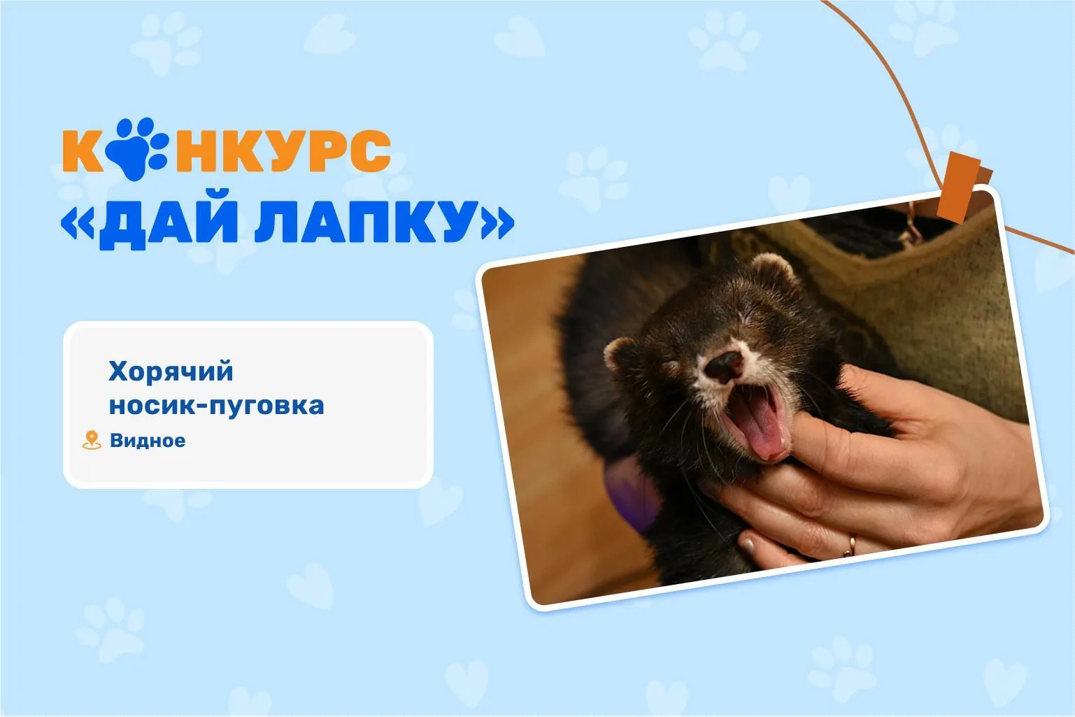 МосОблЕИРЦ