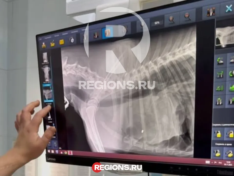 Фото: личный архив Ангелины Дубровой