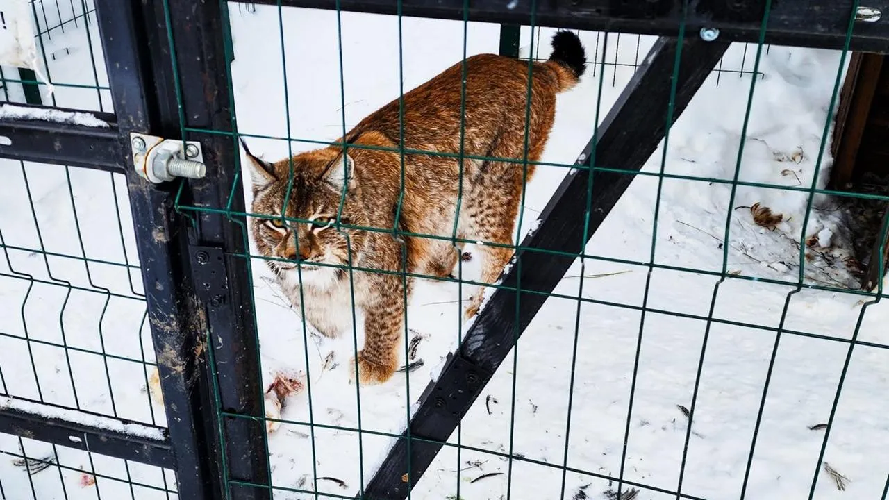 REGIONS/Мария Панина