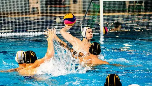 Чемпионат России по водному поло пройдет в Чехове