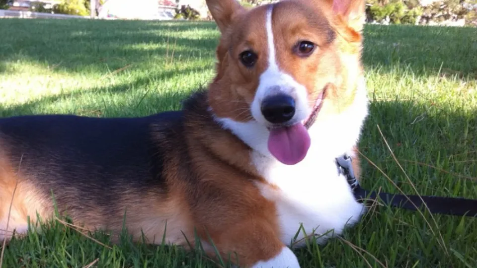 Фото: pxhere.com