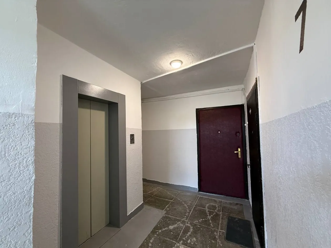 Фото: пресс-служба администрации Наро-Фоминского г.о.&nbsp;