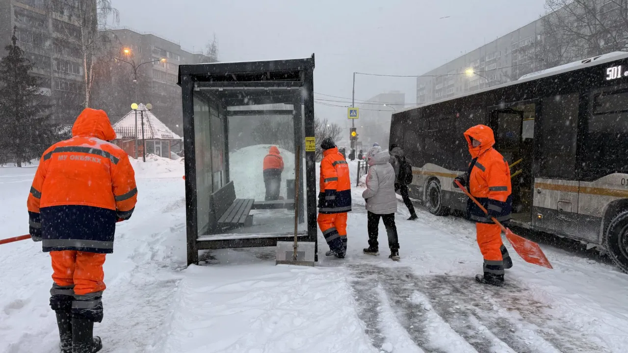 МедиаБанк Подмосковья/Анна Дука
