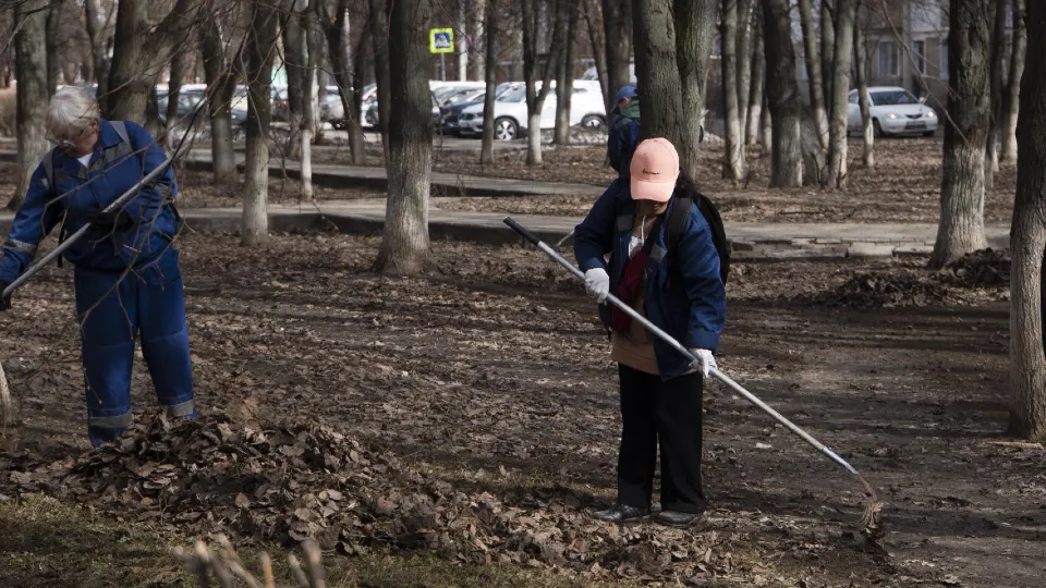 Фото: пресс-служба администрации г.о. Домодедово