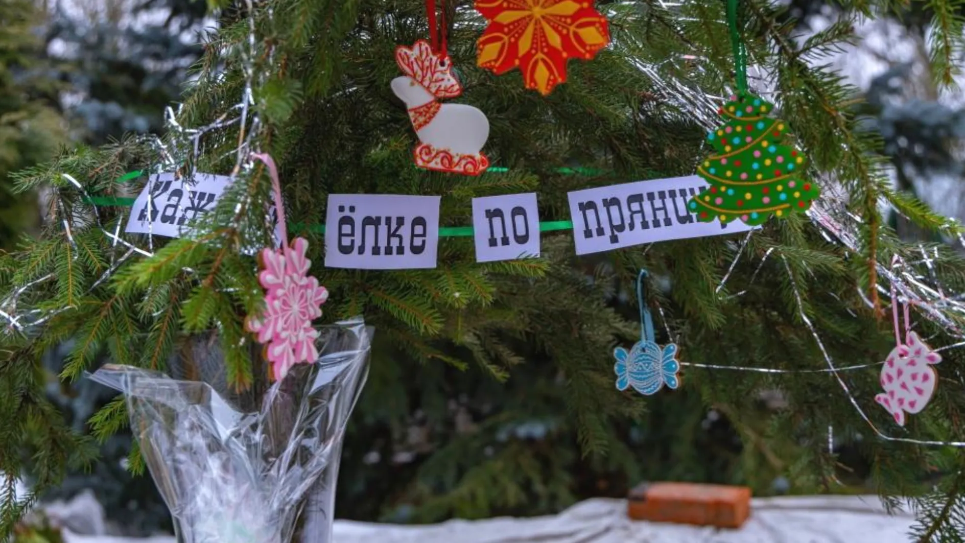 Фото: Раменский медиацентр