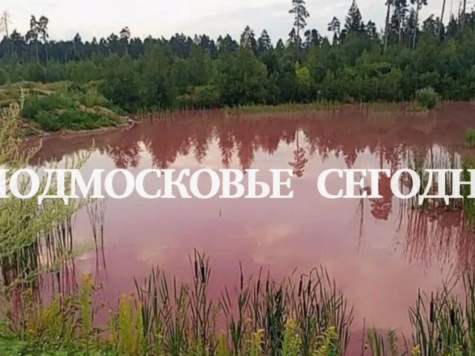 Мусор в качестве вещдока: зловонное розовое озеро шокировало жителей Подмосковья
