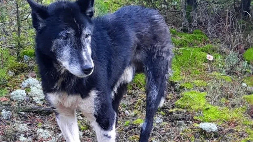 Фото: Елена Кудрявцева