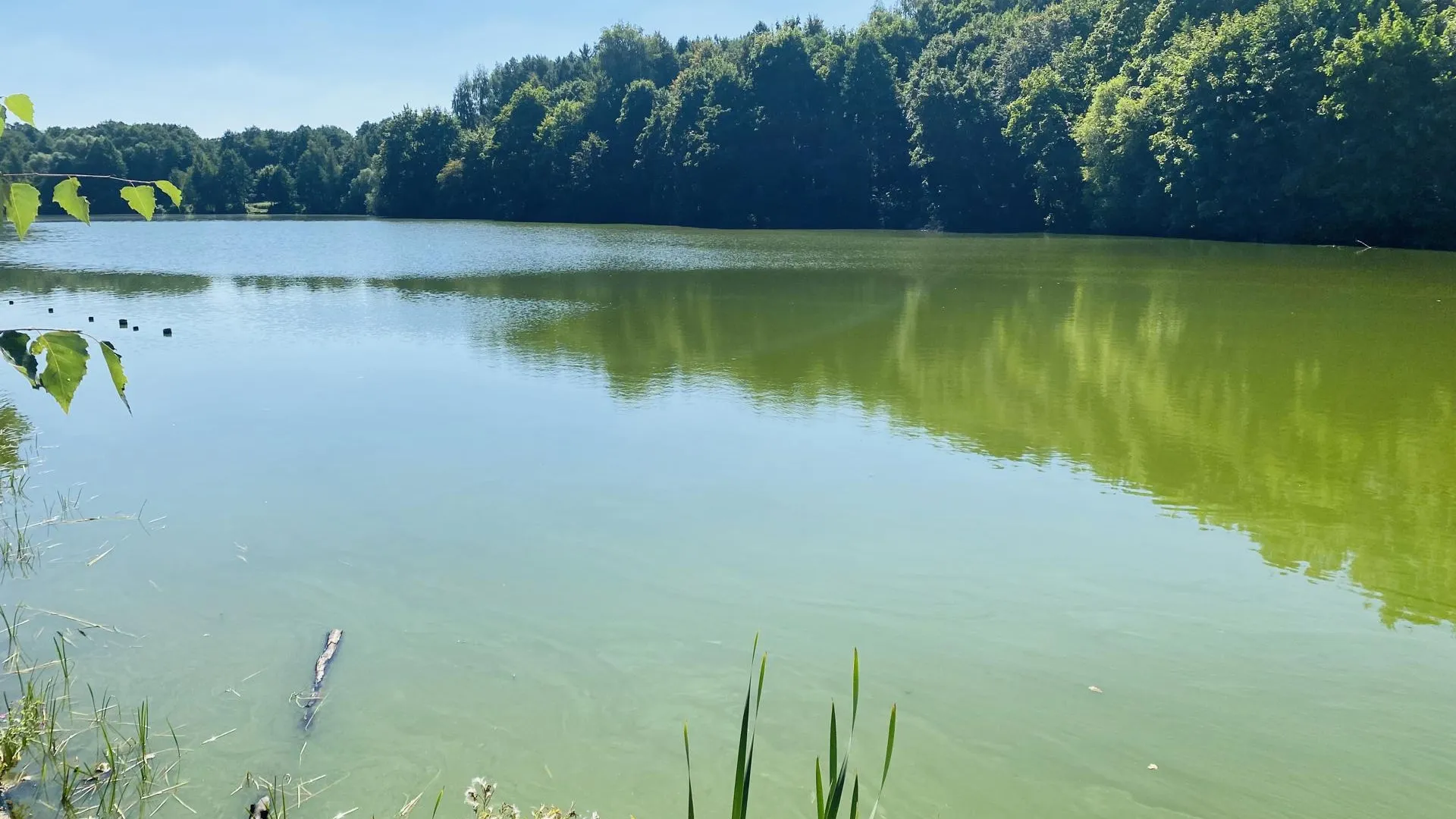 Людмила Михалёва