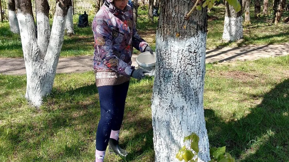 Фото: министерство социального развития Московской области