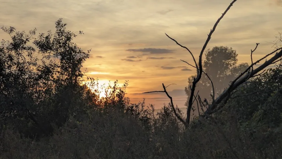 Фото: REGIONS/Алексей Селиверстов