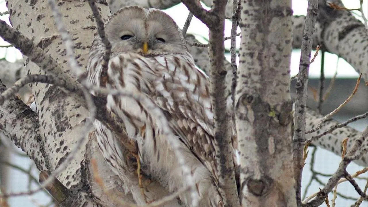 личный архив семьи Васильевых