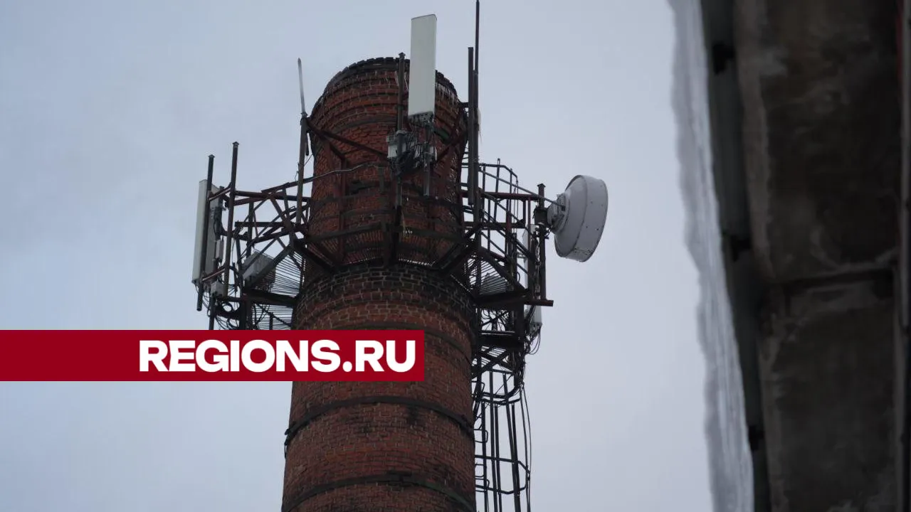 Фото: Дарья Леонова