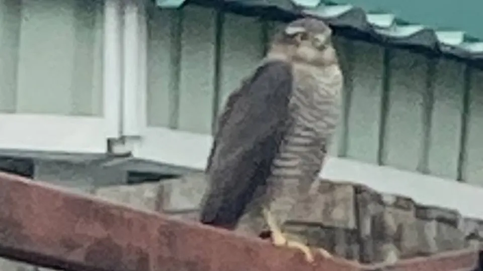 Фото: из архива Игоря Ч.