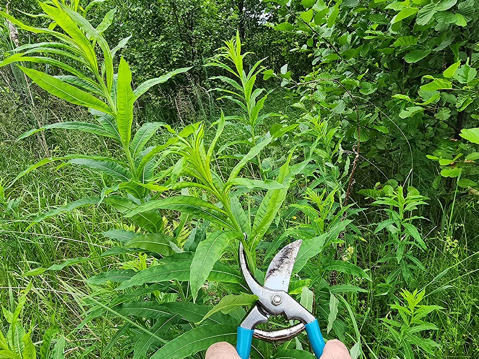 Фото: Михаил Мартыненко