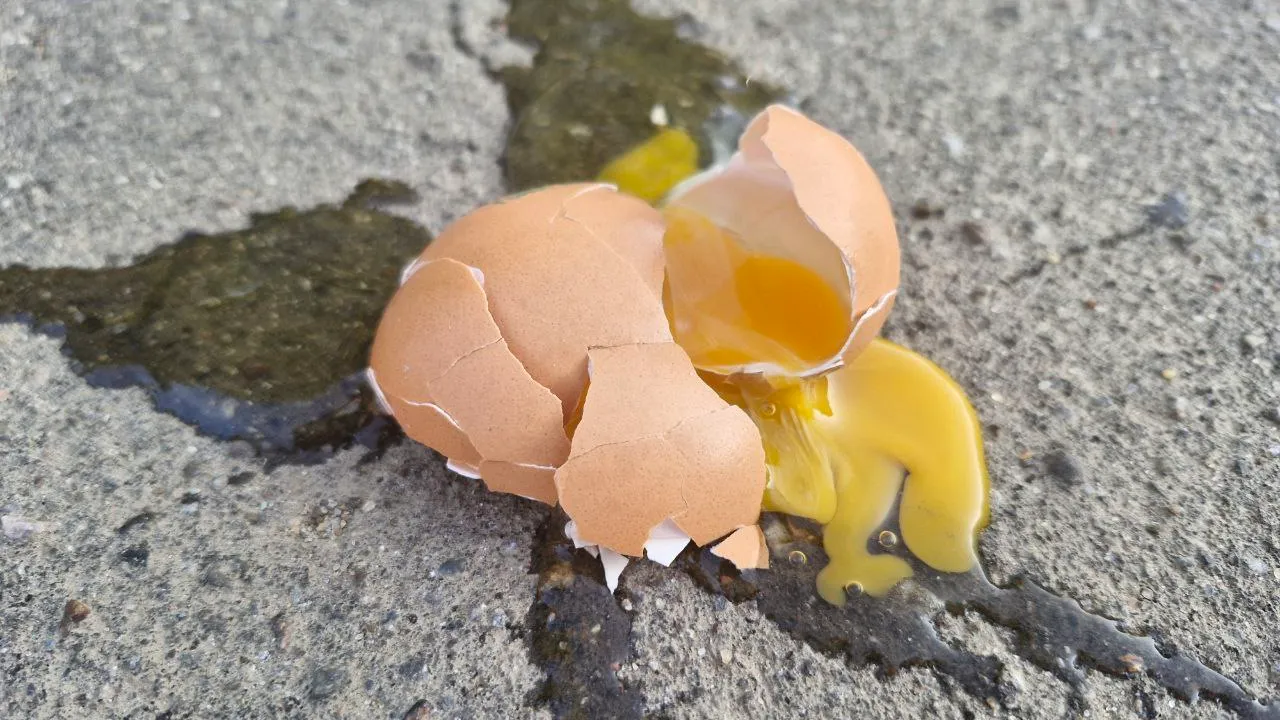 Фото: REGIONS/Наталия Надточая