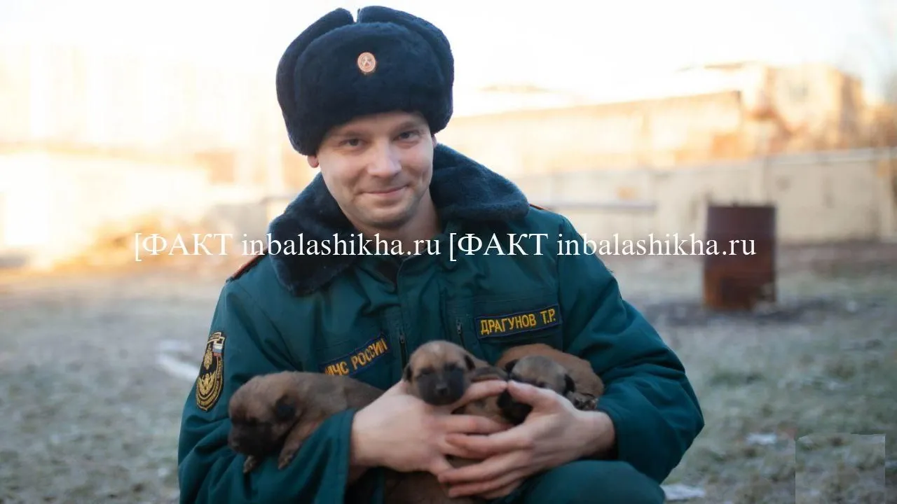 пресс-служба МЧС