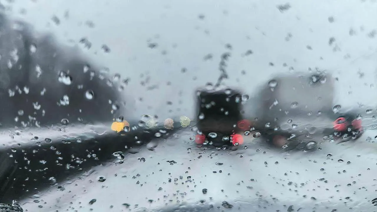 REGIONS/Роман Малышенко