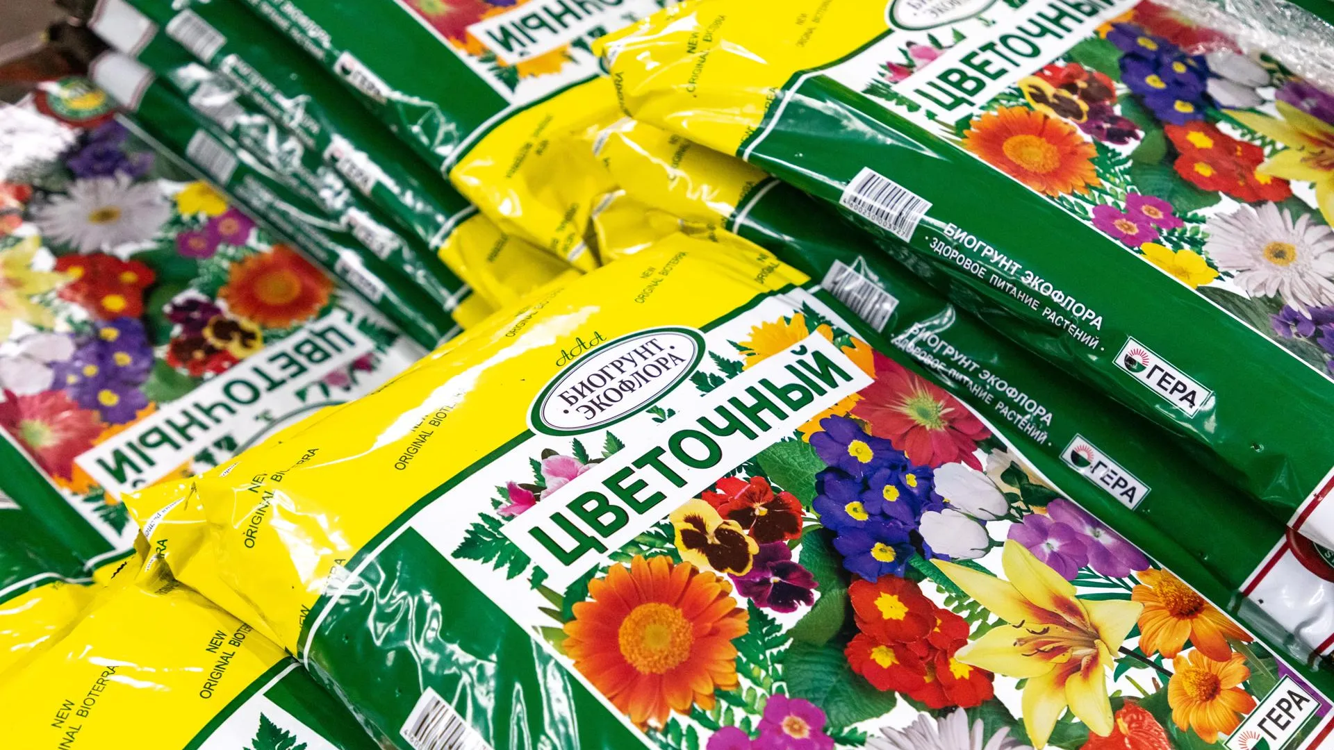 Анастасия Харченко