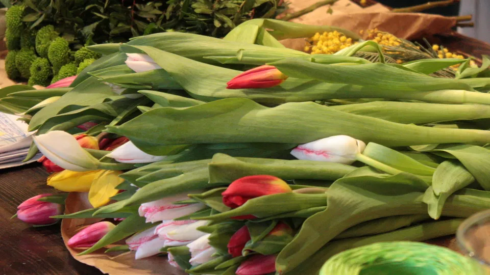 Фото: REGIONS/Юлия Алабина