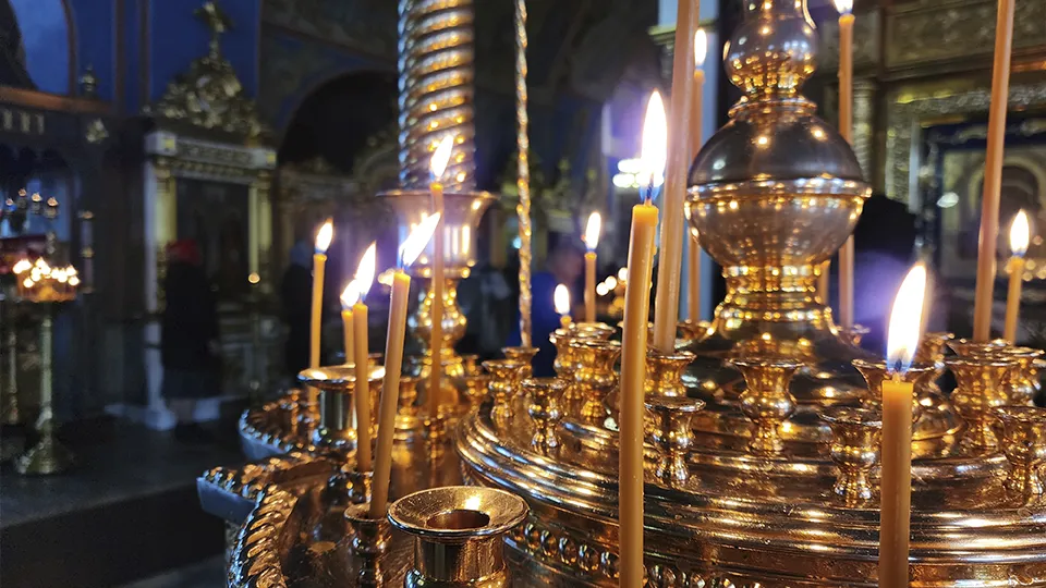 Фото: МедиаБанк Подмосковья/Ольга Аввакумова