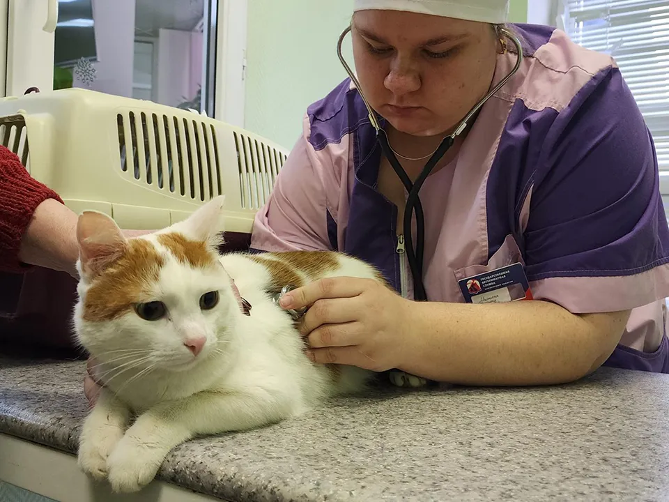 Фото: Андрей Семибратов