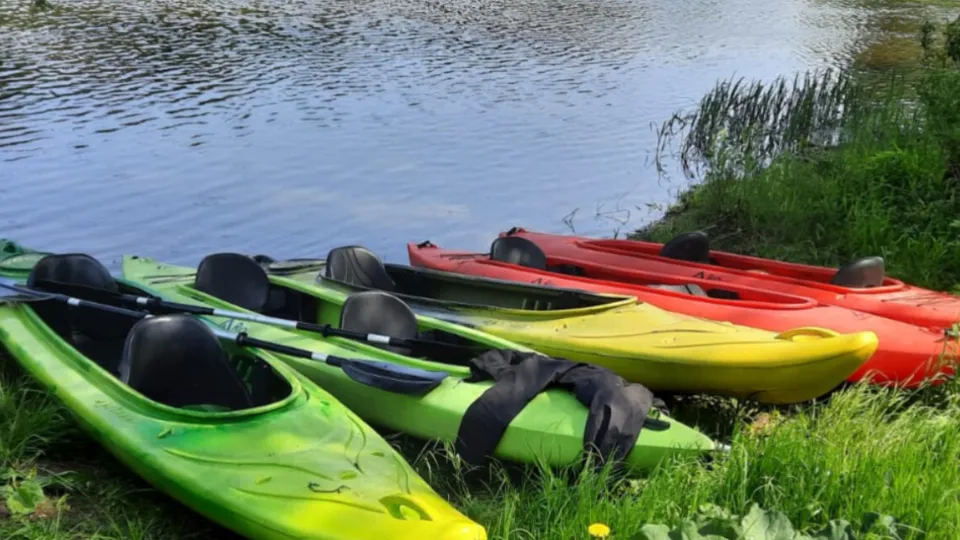 Фото: МедиаБанк Подмосковья/Хавива Фонина