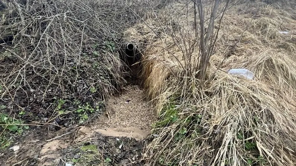 Фото: Минэкологии МО