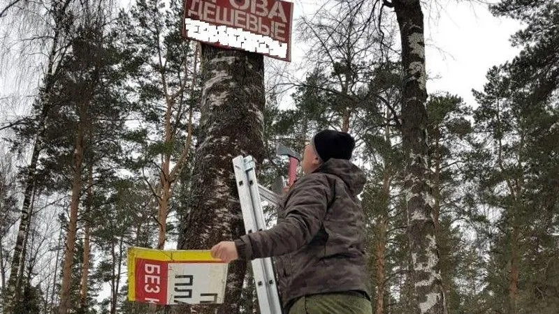Пресс-служба Комитета лесного хозяйства Московской области