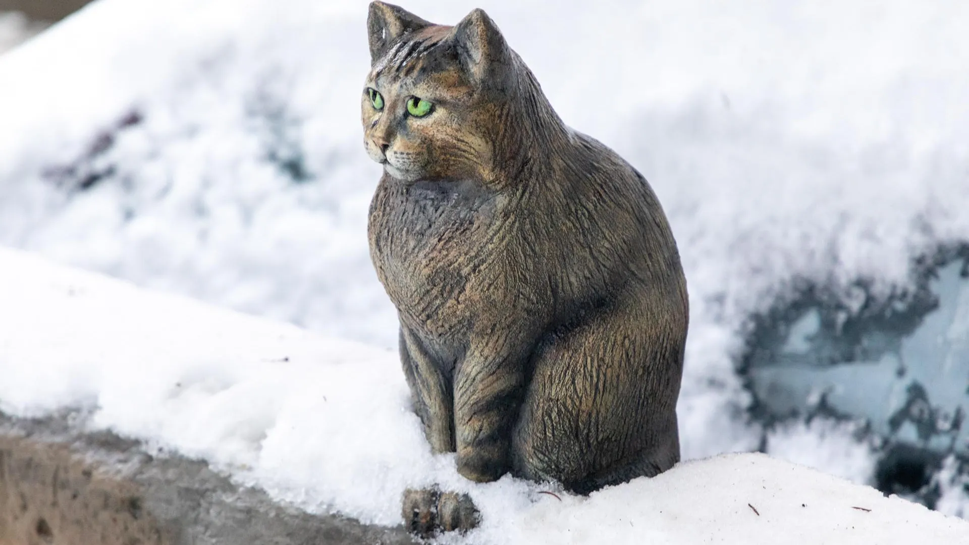 Фото: Александр Щербаков