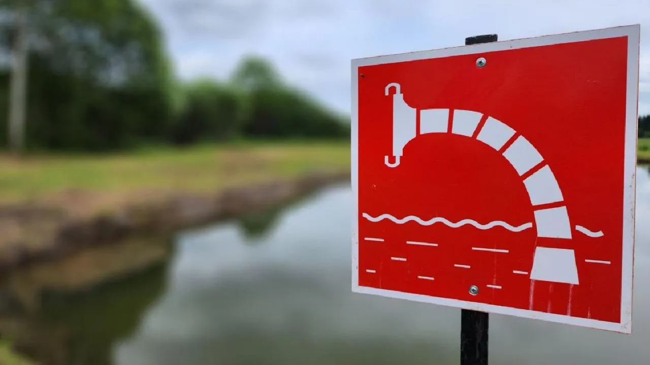 REGIONS/Яна Шаливская