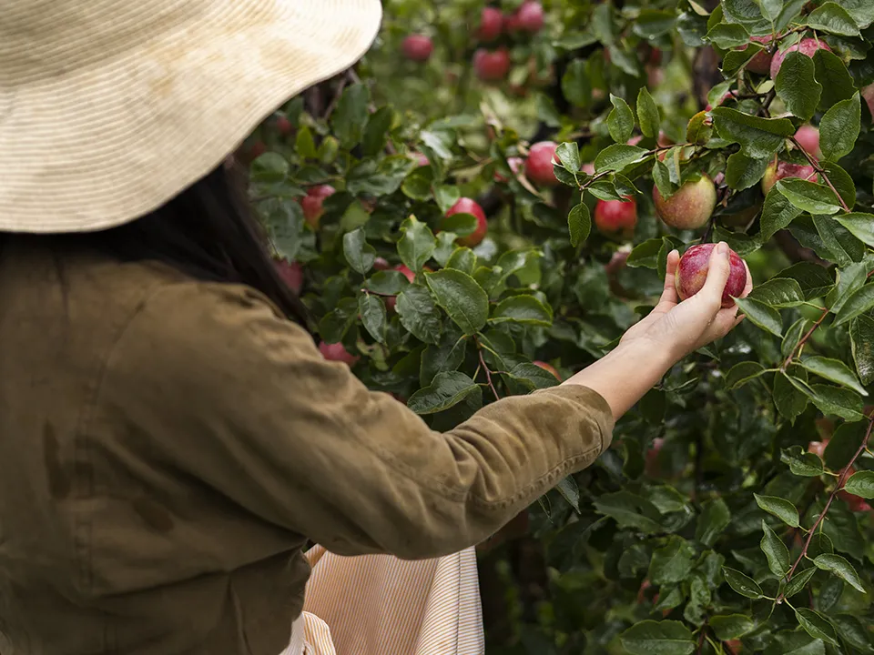 Фото: freepik.com