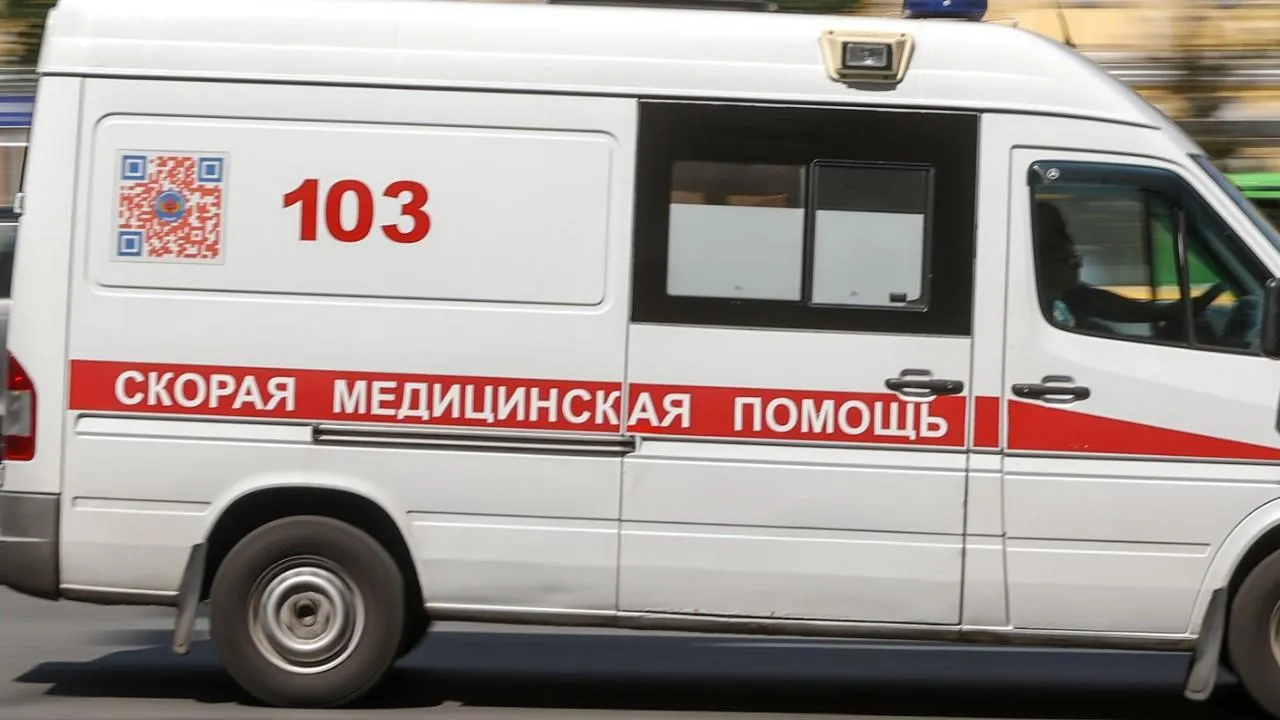 На детской площадке в Самаре пострадал ребенок из-за упавшего дерева