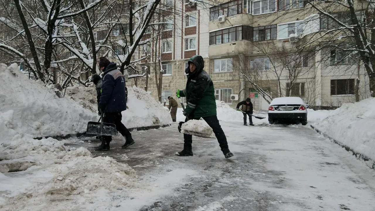 МедиаБанк Подмосковья/Максим Сафронов