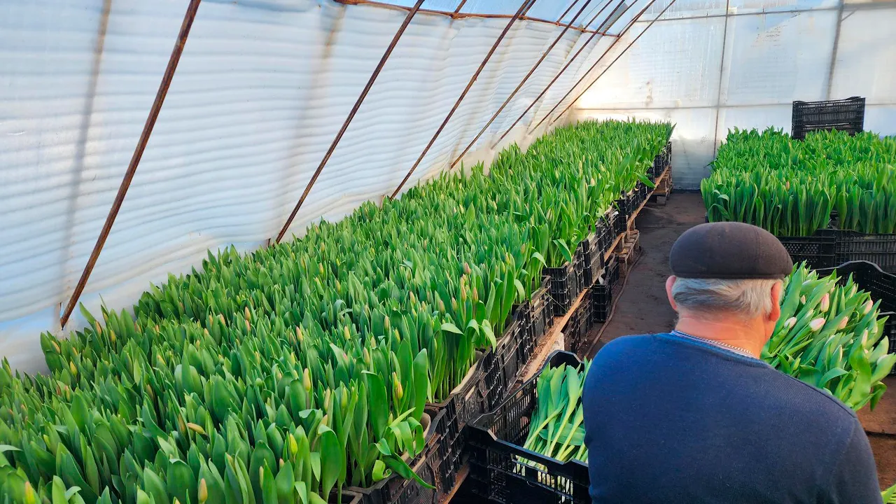 Станислав Орлов