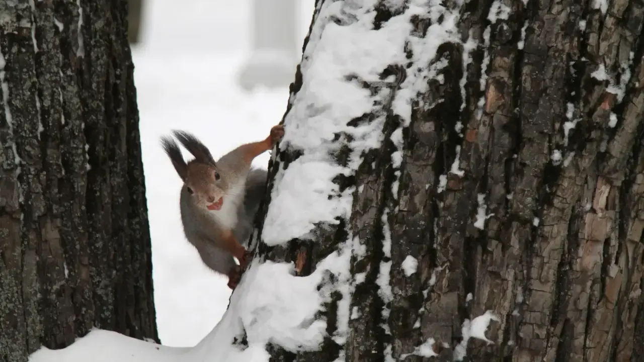 REGIONS/Наталья Дорофеева