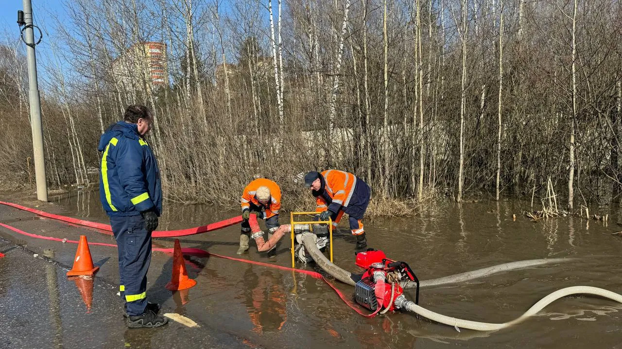 Фото: Администрация г.о. Красногорск