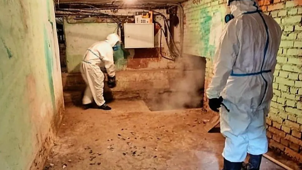 Фото: ГУСТ МО