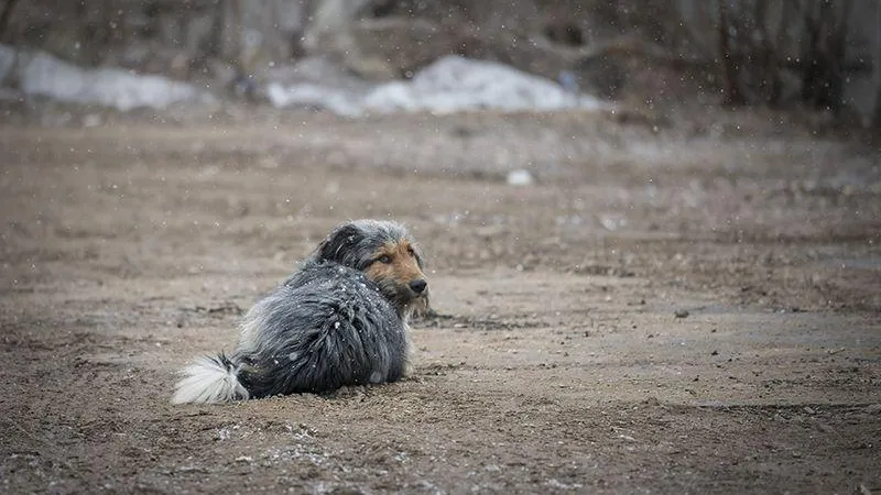 Павел Попов