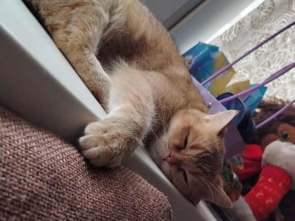 Фото: ГК «Гранель»