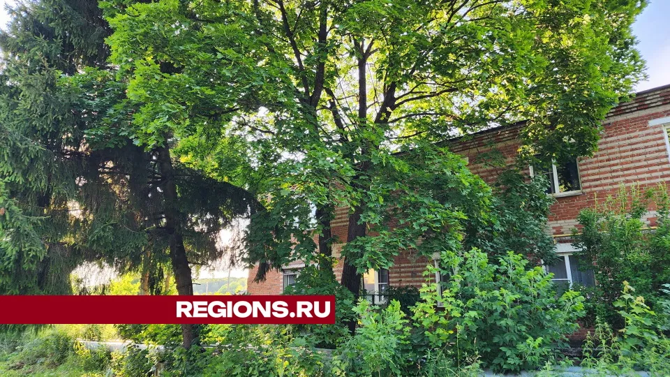 Фото: Дмитрий Алексеенко