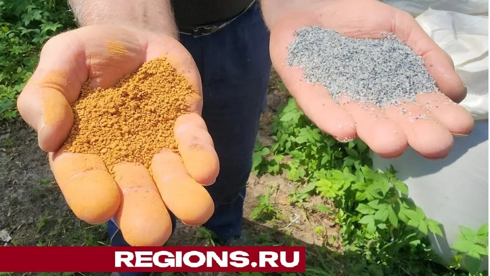 Фото: REGIONS/Юлия Смагринская